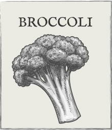 Jump down to Broccoli growing guide