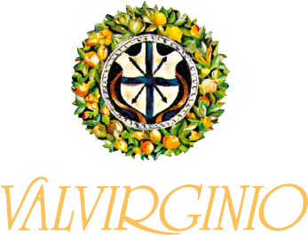Valvirginio Italian Wine Logo - distributed in Houston, TX by Beviamo International