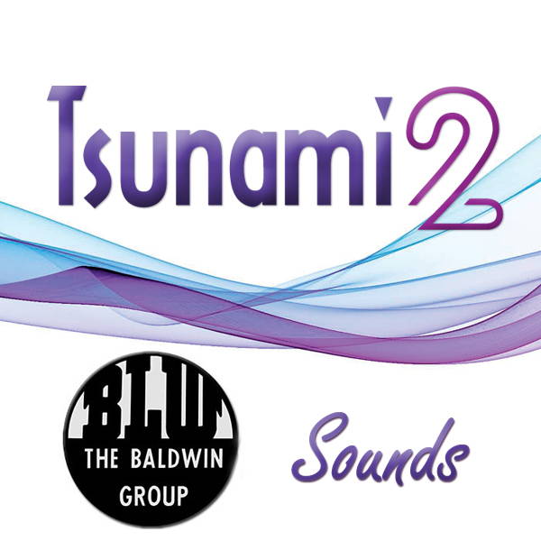 SoundTraxx 827109 Tsunami for EMD 645 Non Turbo YANKEEDABBLER for sale online 