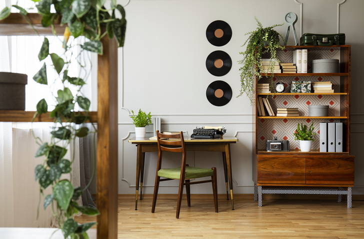 Indoor Plants on shelving unit in bright room from The Good Plant Co