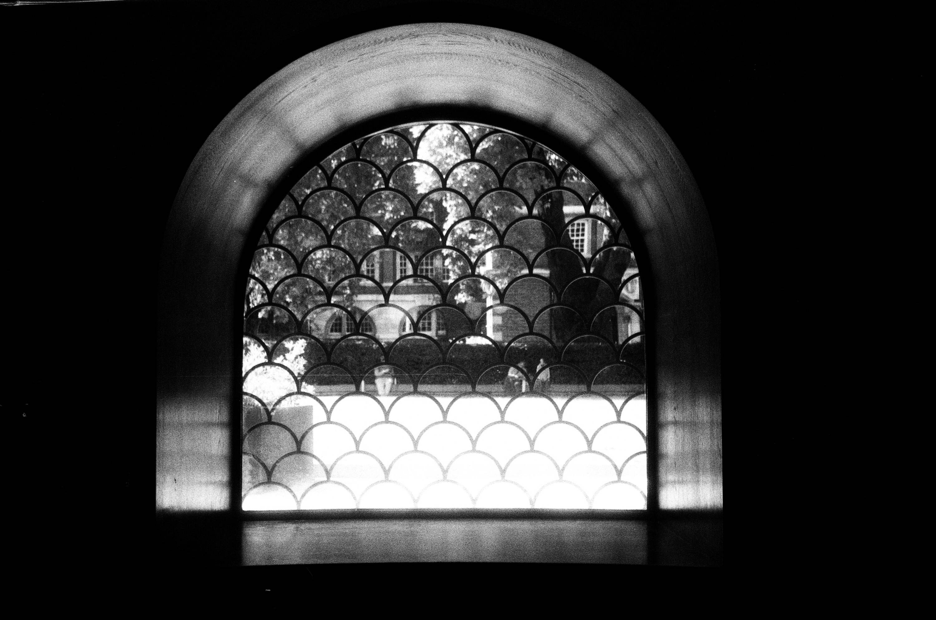 The Budget Photography Challenge| Sara Jeffery