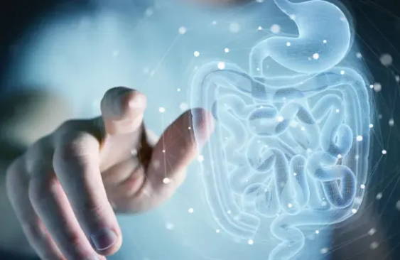 Trusting Your Gut: Digestion and the Microbiome