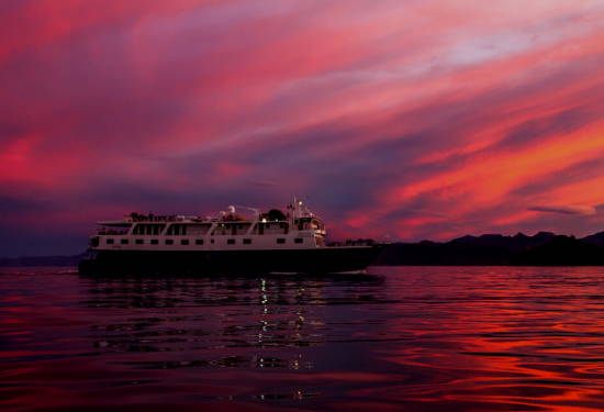 small ship cruises sea of cortez