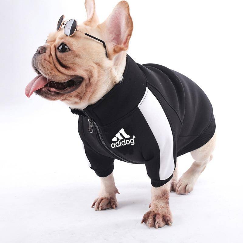 adidas track jacket for dogs