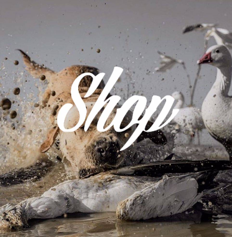 Shop Migratory Bird Supply