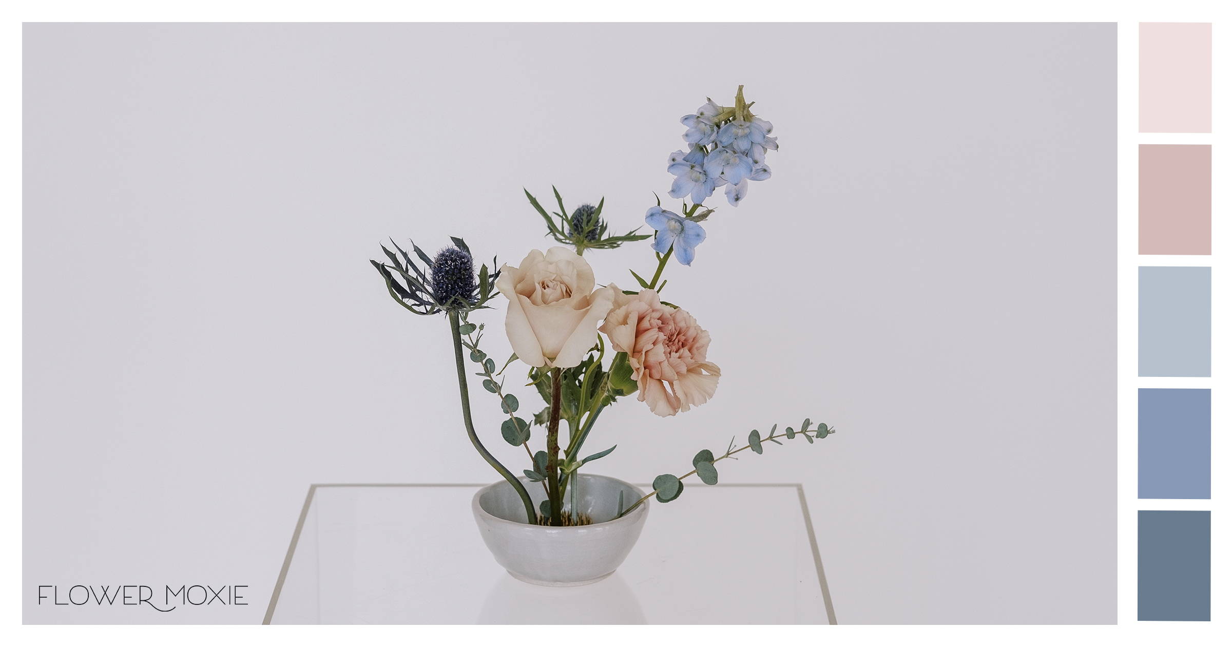Dried Blue Thistle Flower – Flower Moxie Supply