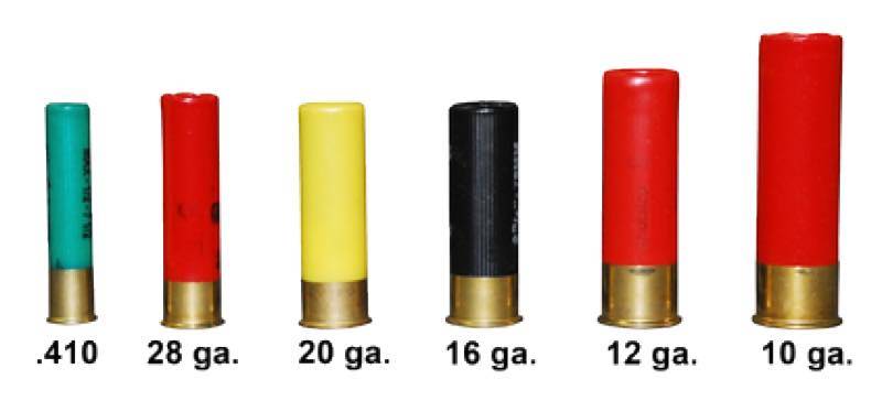 Different Types of Shotgun Shells