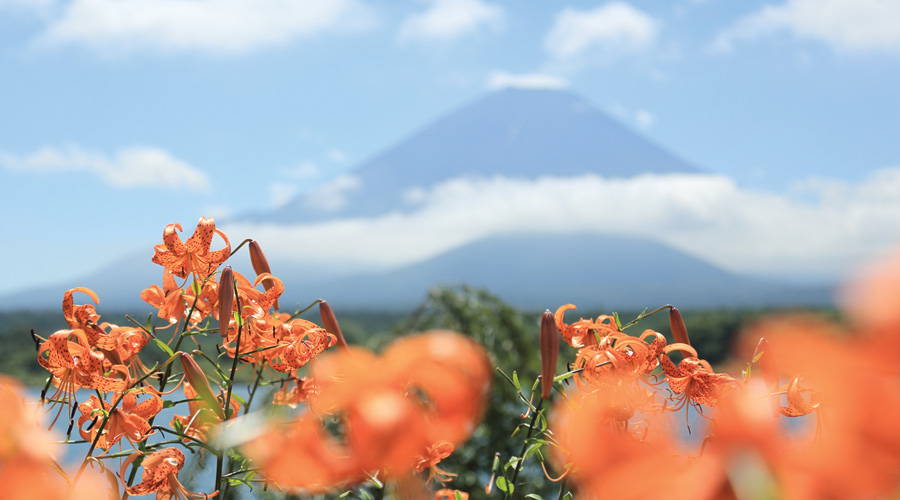 山梨・甲府　風景