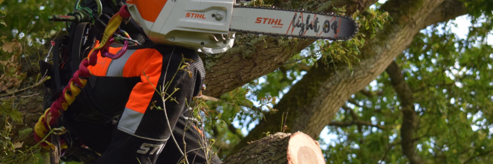 Person using a chainsaw to cut a tree branch.