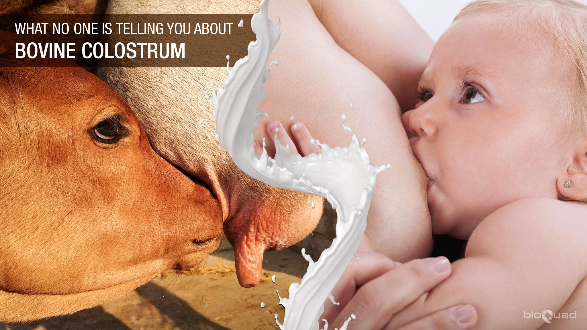 bioQuad human baby and cow calf nursing