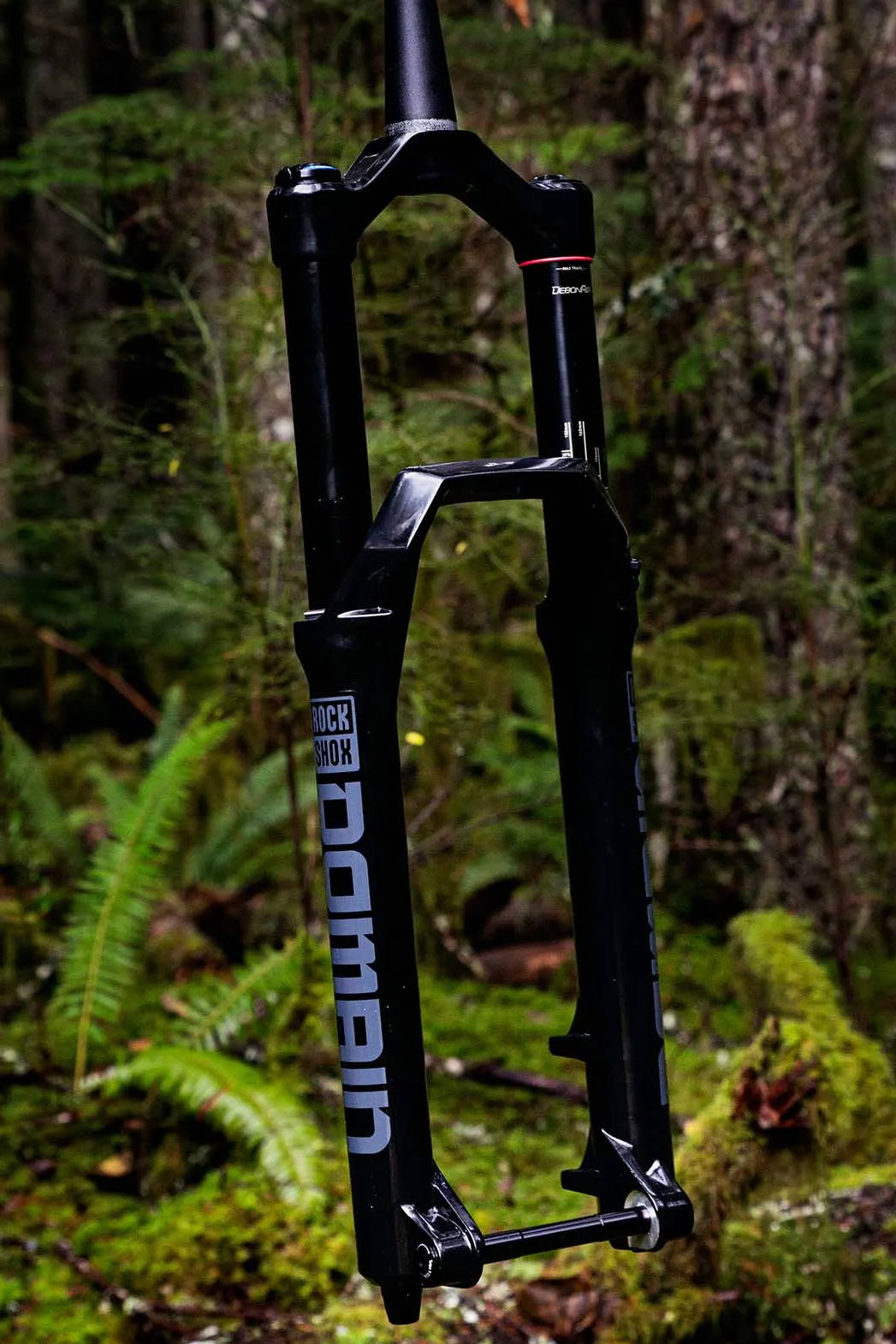 rockshox domain mountain bike fork floating in a forest
