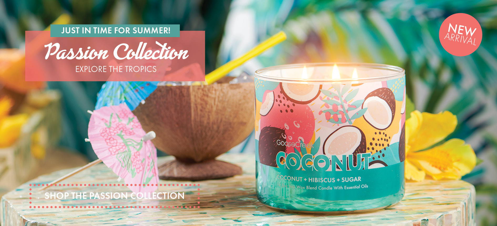Coconut - The Passion Collection