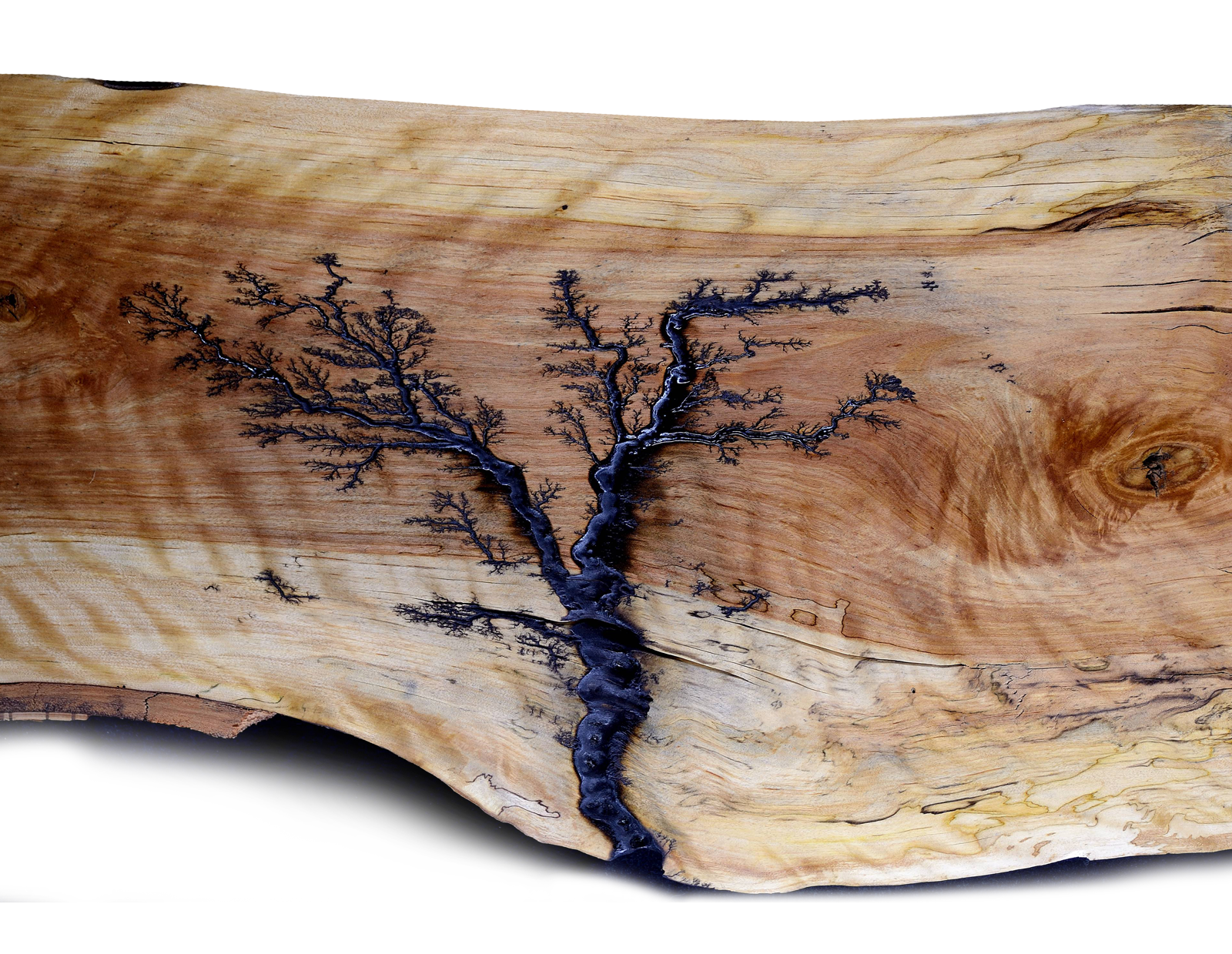 Lichtenberg fractal wood