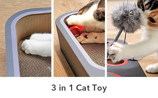 3 in 1 Cat Toy