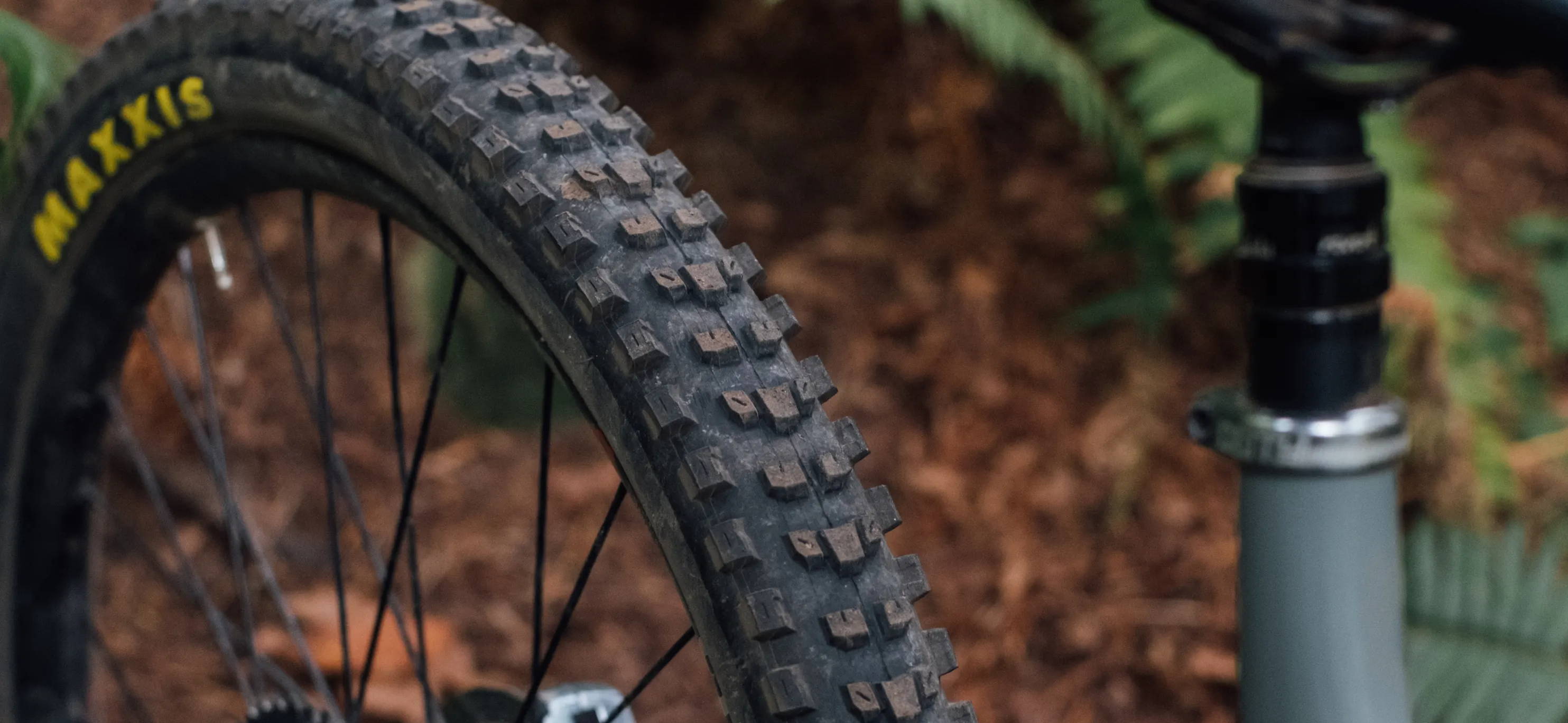 Maxxis dissector mountain bike rear tire installed on a Transition Patrol in nature