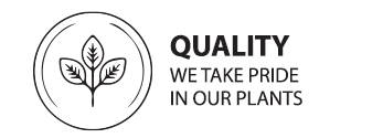 Shop Quality Plants