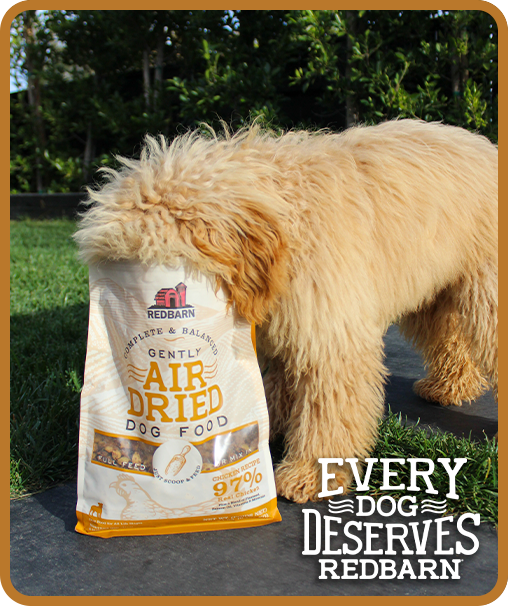 Photo of a dog next to a bag of air dried food with the caption : Every Dog Deserves Redbarn