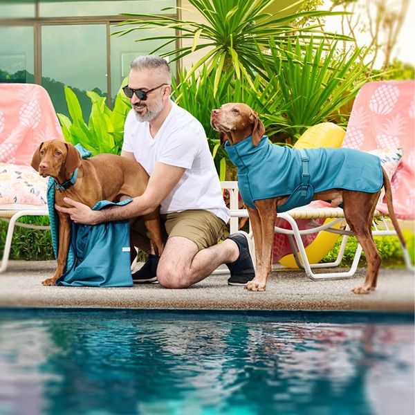 Man with two dogs by a poolside in sunny weather.