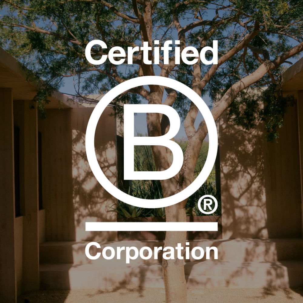Certified B Corporation logo on a background with trees and architecture.