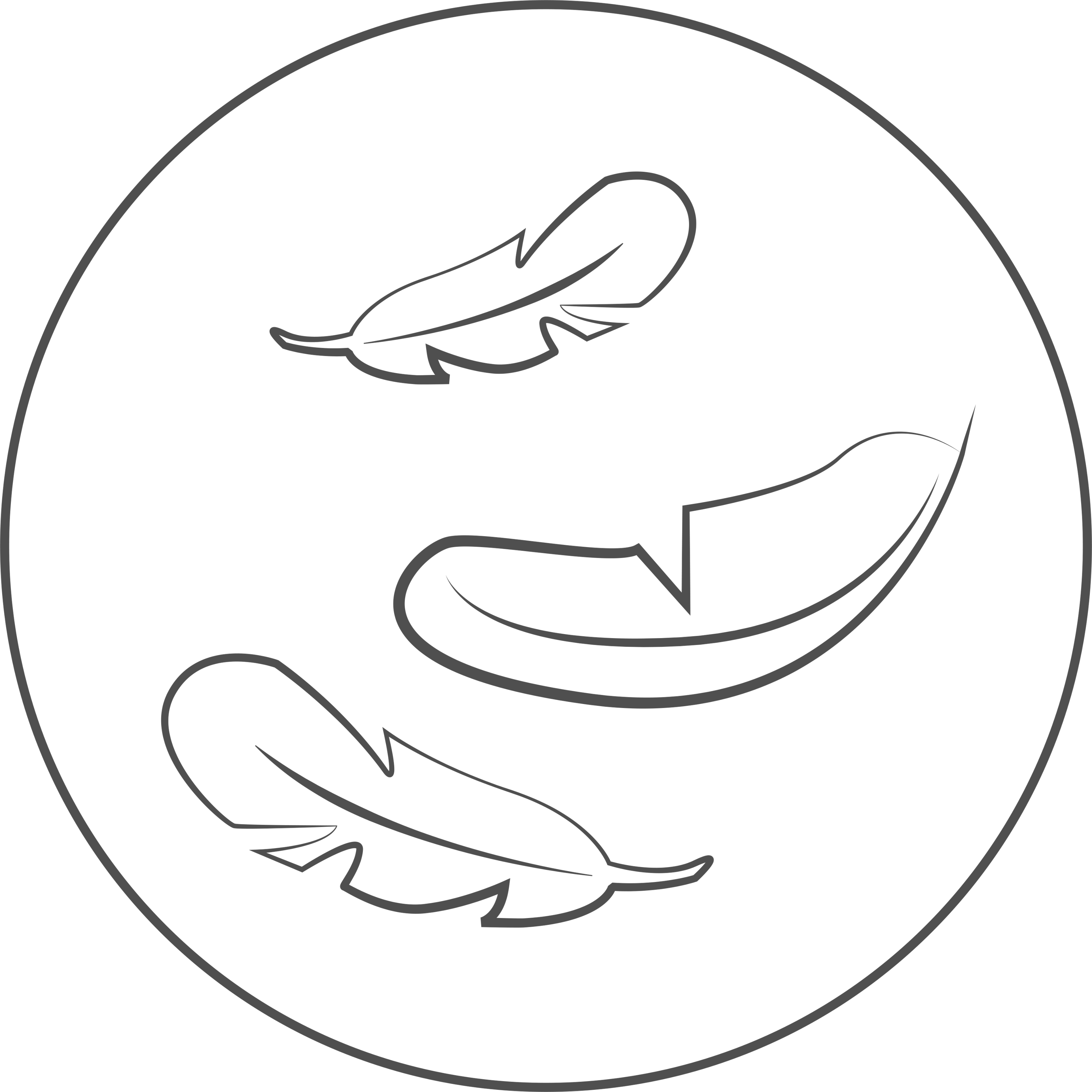 illustration of 3 feathers floating