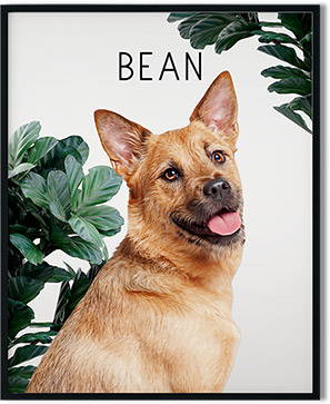 modern dog art with name