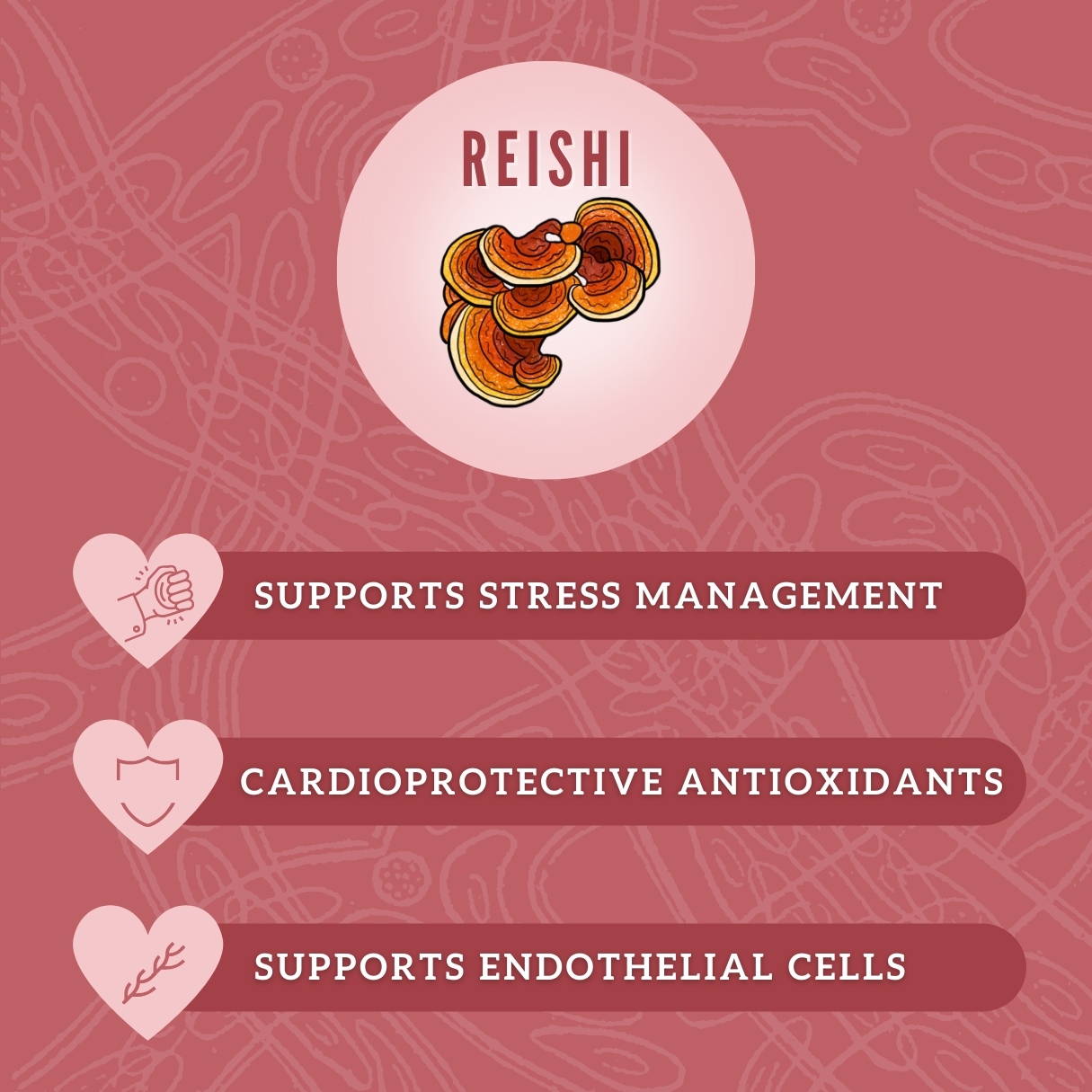 Reishi Mushrooms Suppors stress management, contains cardioprotective antioxidants, supports endothelial cells