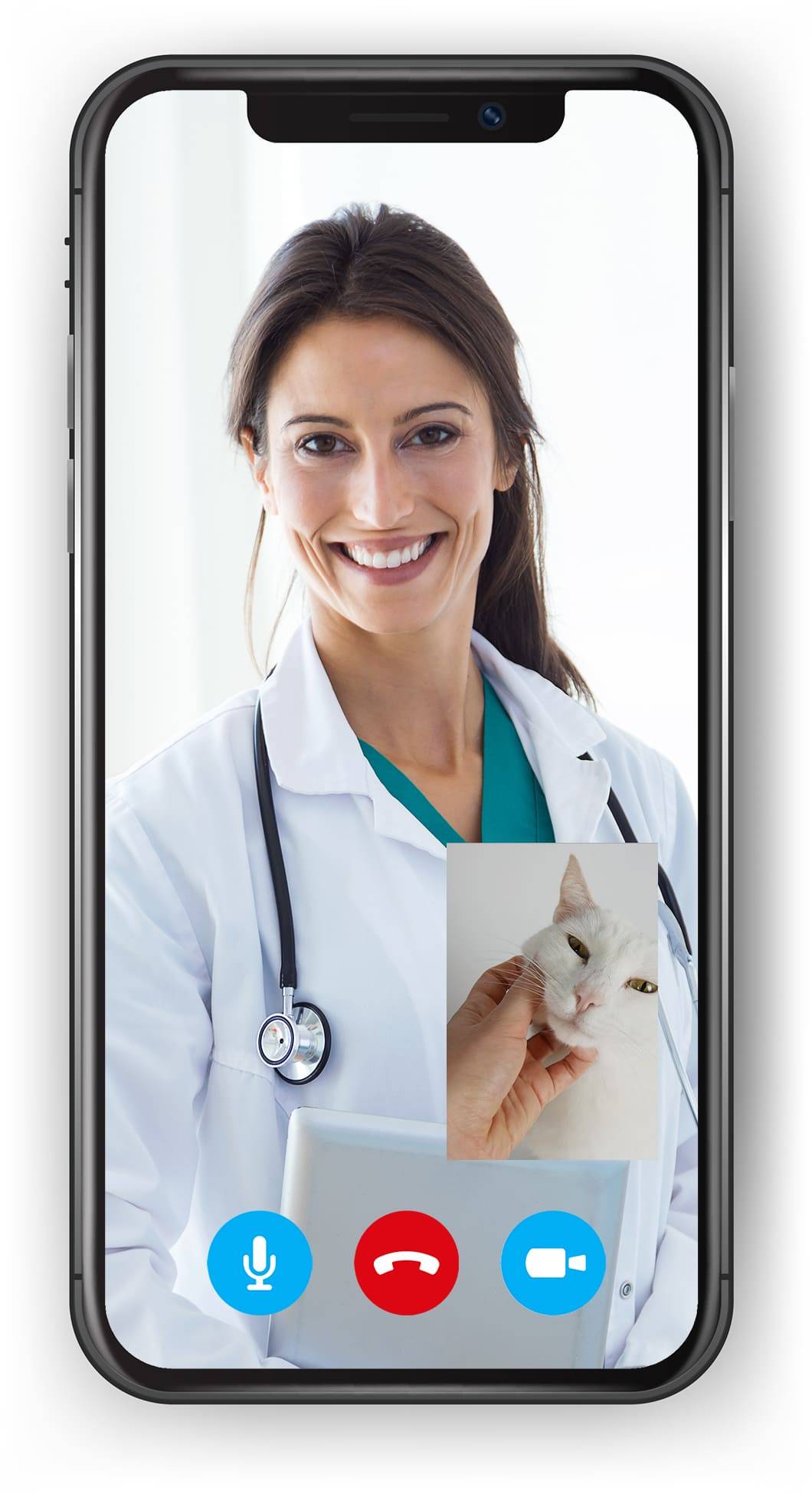 Online Tierarzt - Videoanruf