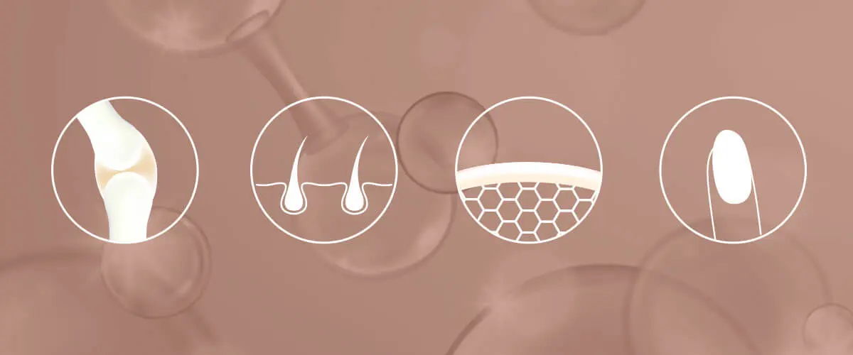 Collagen benefits for skin, hair, nails, and joints