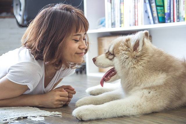 gifts for loss of pet dog