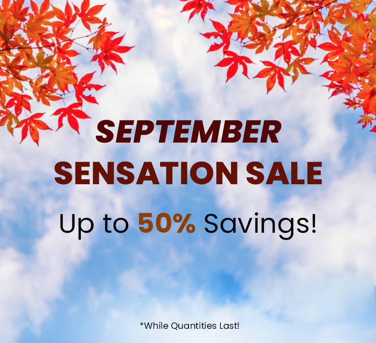 September Sensation Sale. Up to 50% Savings