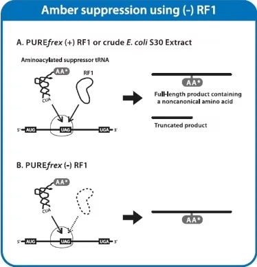 A figure of custom formulation