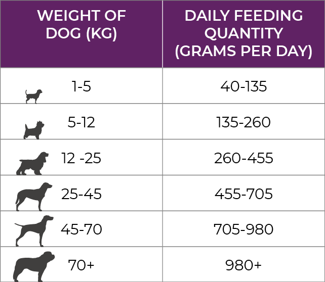 Country Pursuit Premium Working Dog Food Range Feeding Guidelines Premium Lamb