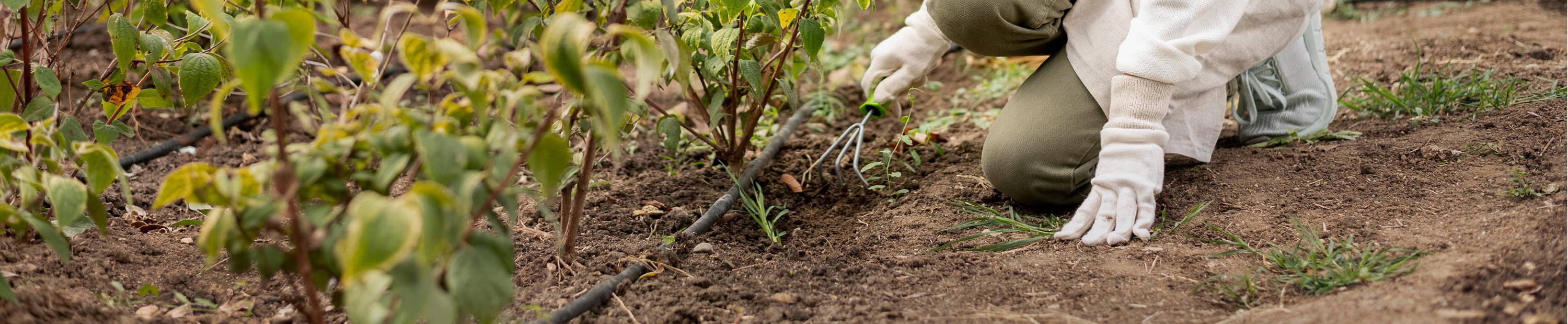 drip irrigation systems