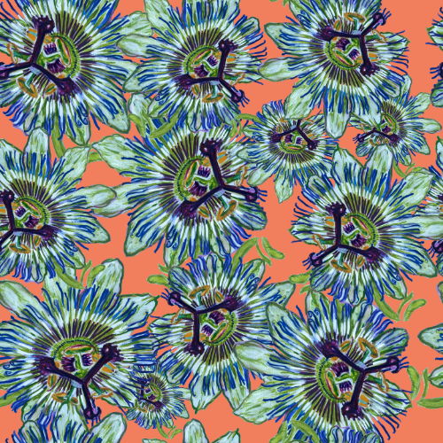 Pattern of blue passionflowers on a coral background.