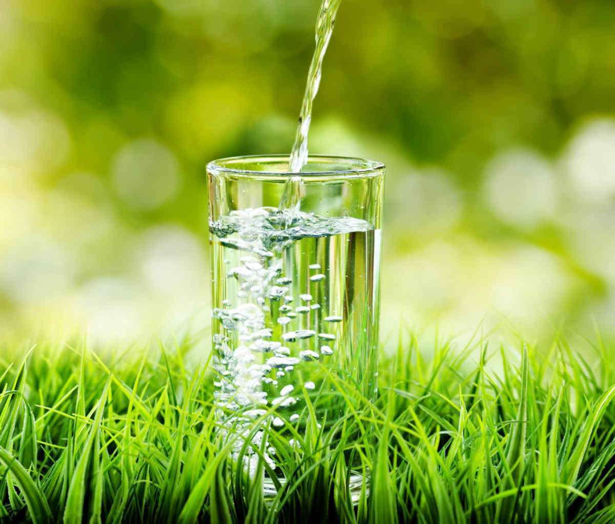 The Essential And Optimal Drink For Bodybuilders