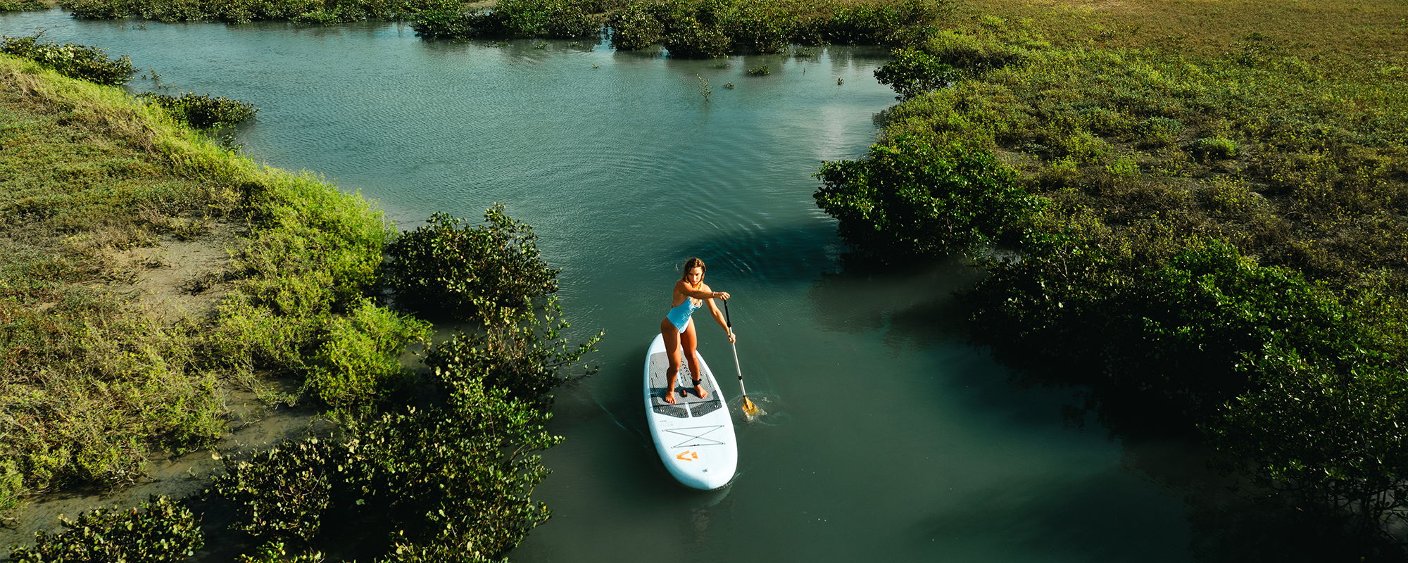 Two people paddleboarding on a calm river surrounded by greenery.