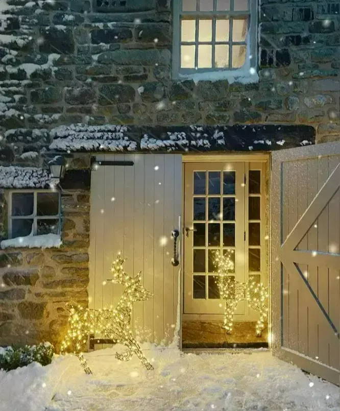 2 Studley reindeers outside in the snow.