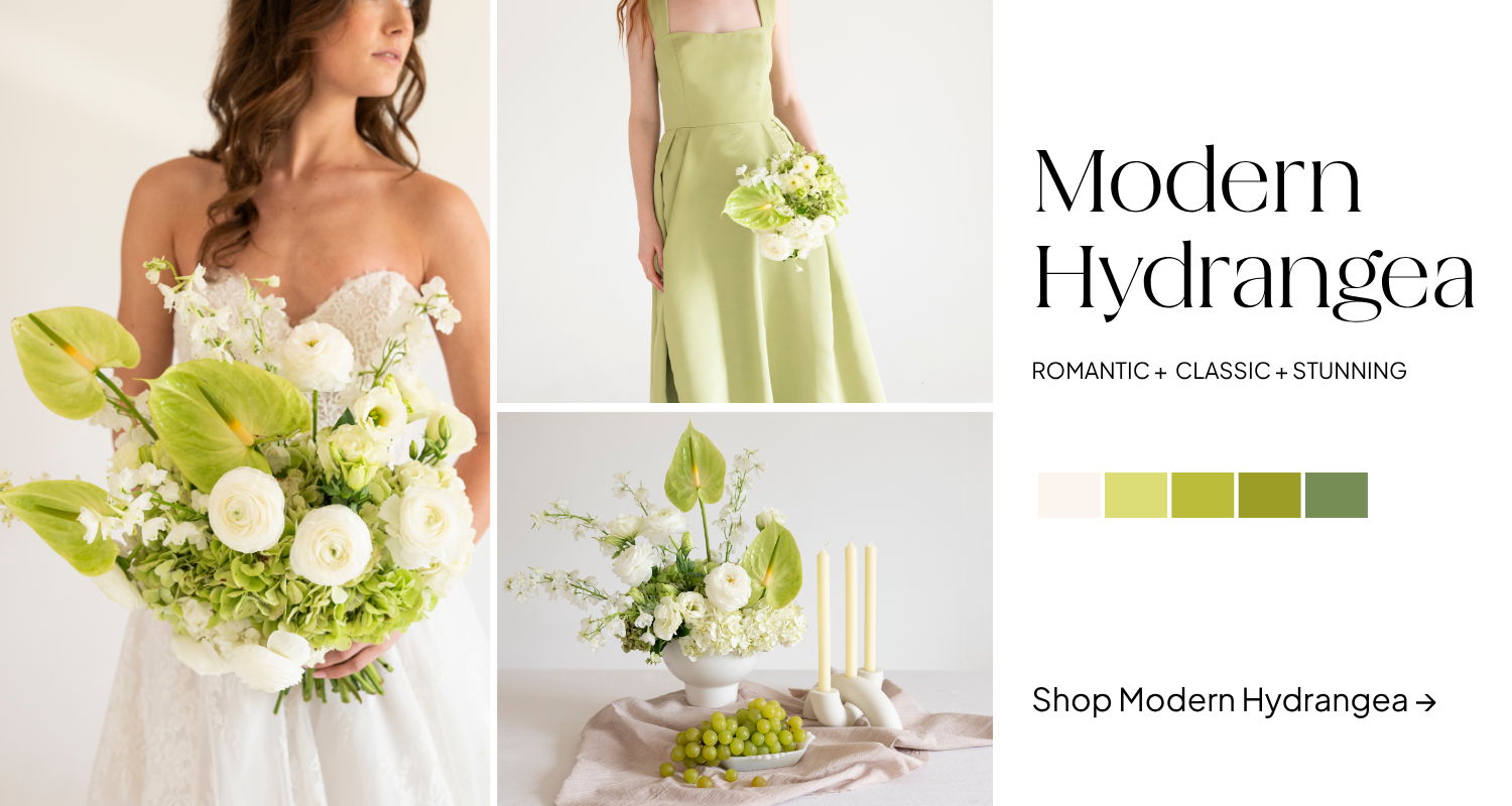 Modern Hydrangea