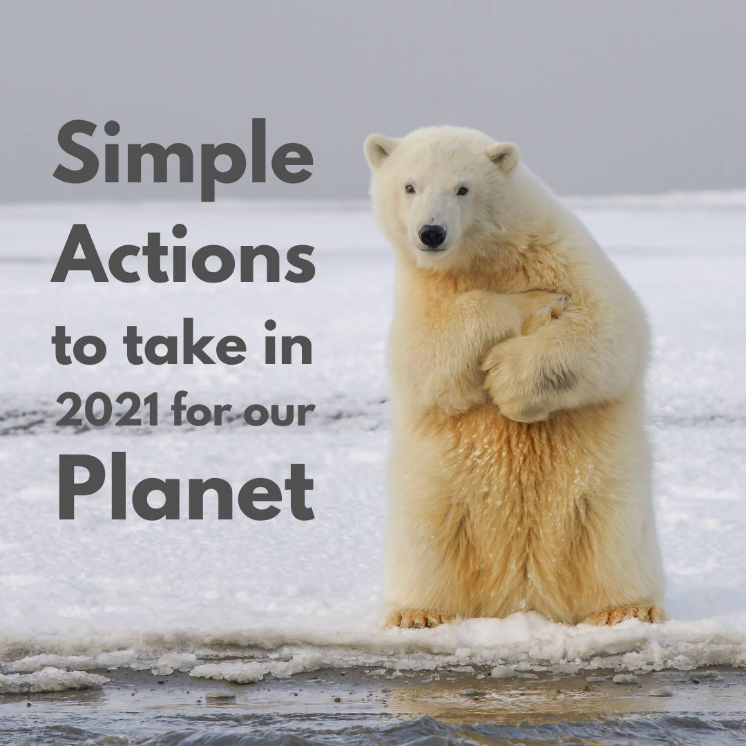 Simples actions for the earth