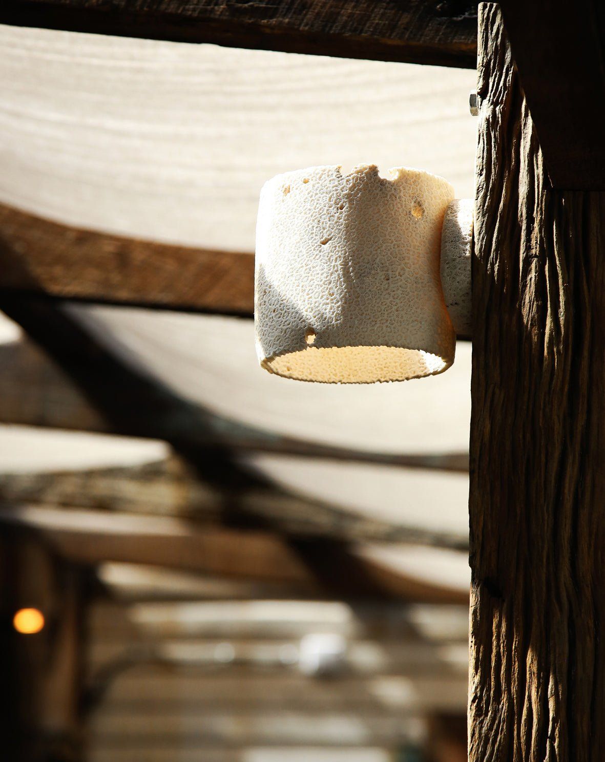 Fossil Coral Tube Wall Sconce