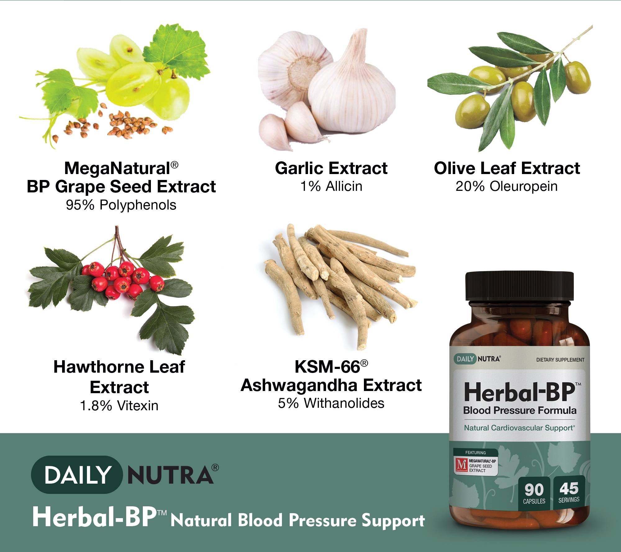 Gentle Pressure Balance: Herbs For Low Blood Pressure