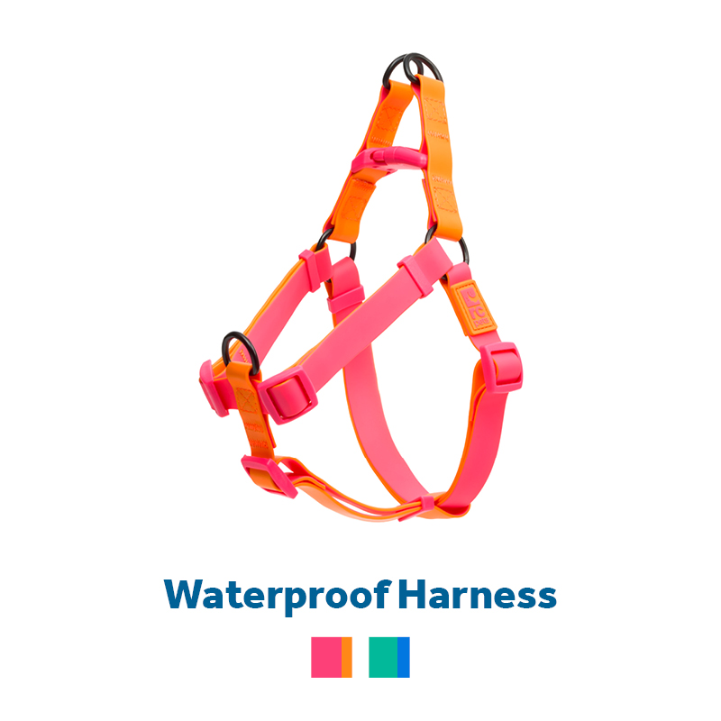 Waterproof harness in bright pink and orange colors.