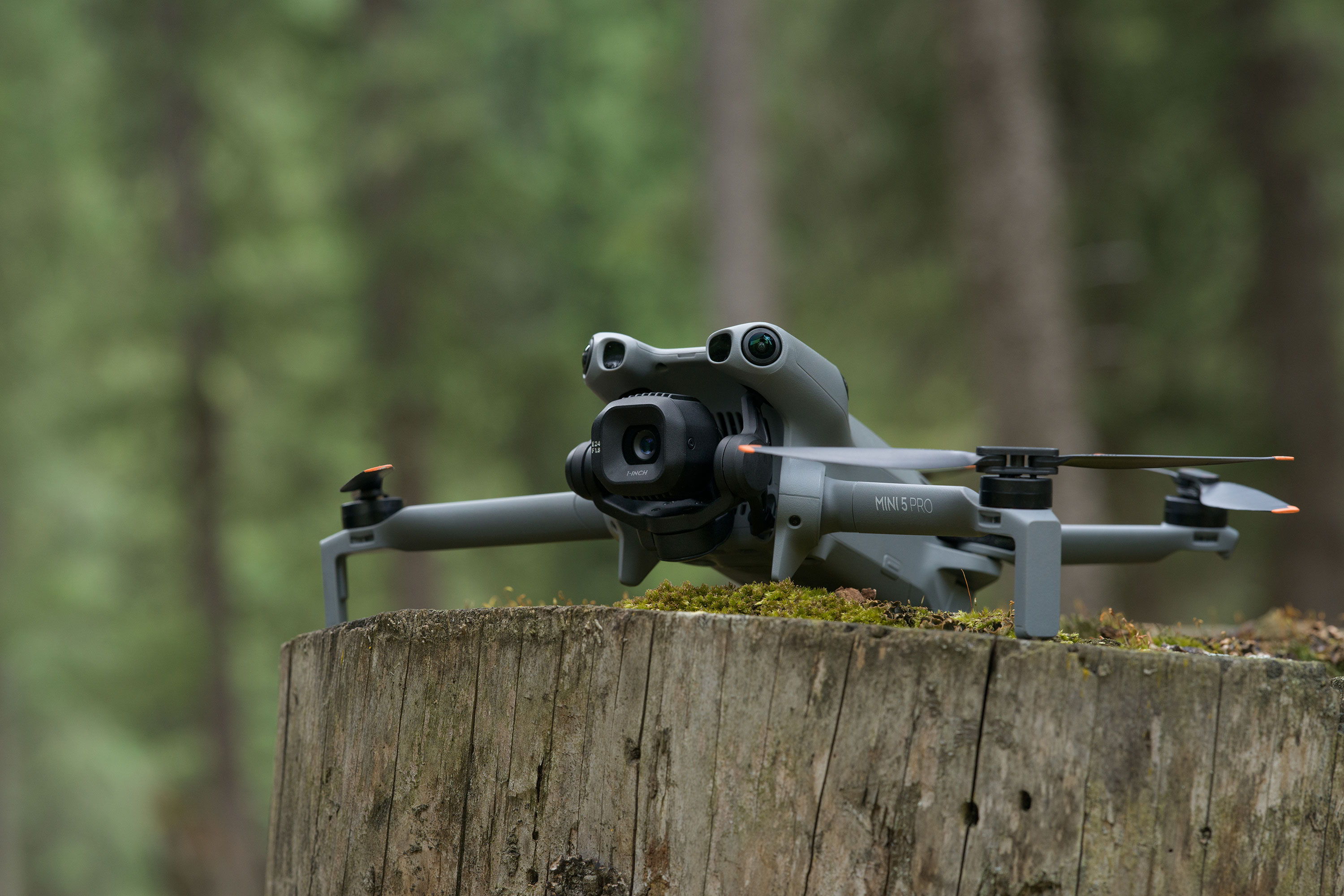 A DJI Mini 5 Pro resting on a wooden stump in a forested area.