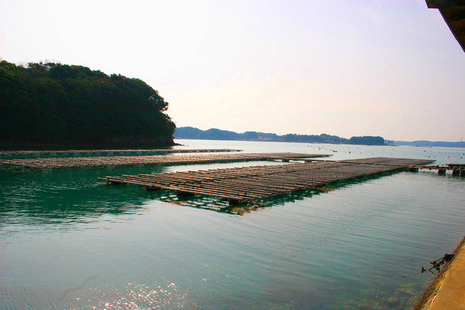 Akoya Pearl Farm in Japan