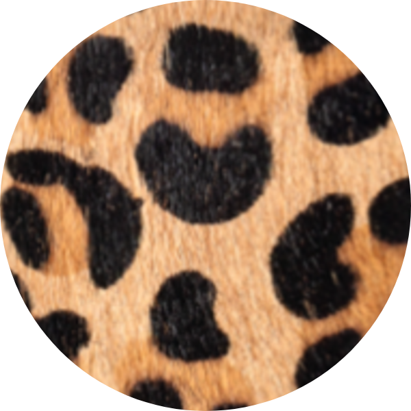Close-up of leopard print fur pattern with black spots on a tan background.