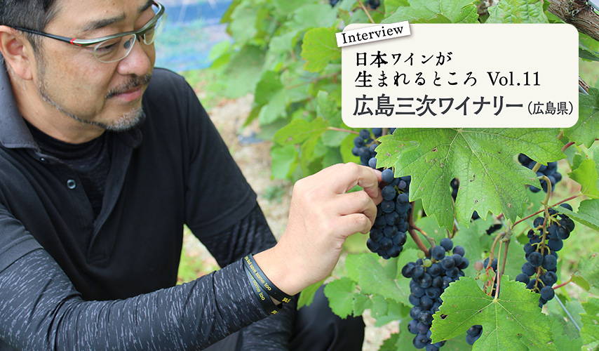シリーズ・日本ワインが生まれるところ。広島「広島三次ワイナリー」にインタビュー！
