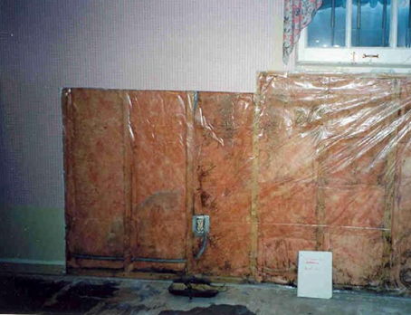 Mold on insulation batts behind plastic vapour barrier in a wall in a basement room.