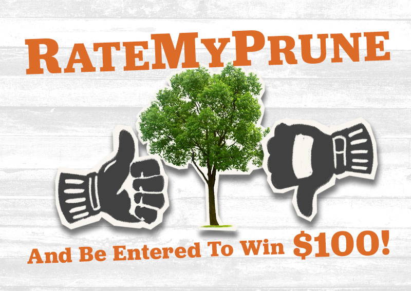 Vote on Pruning Jobs and Be Entered to Win $100