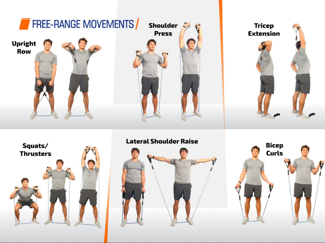 free range moves for bands