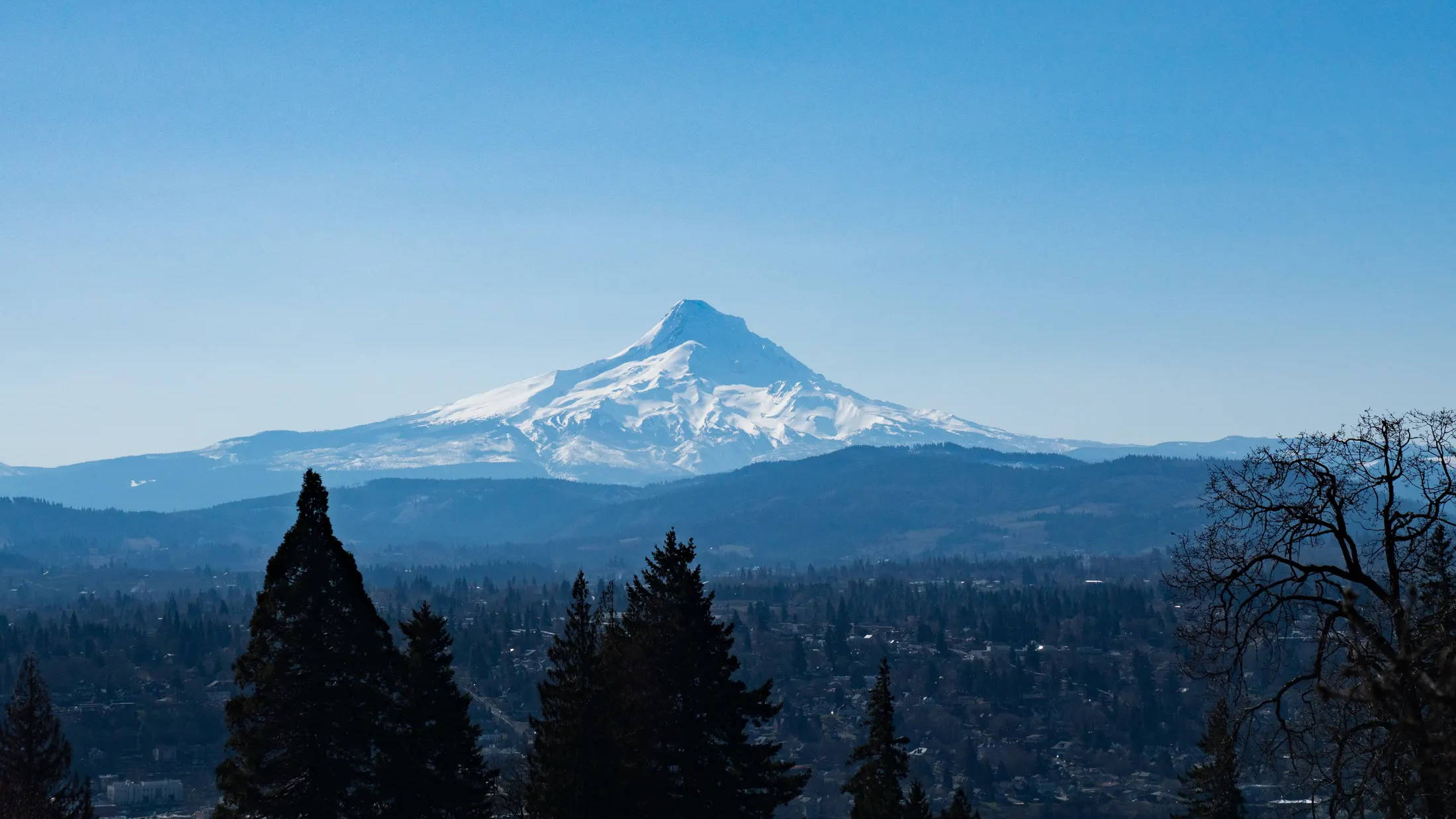 Mount Adams snow covered peak Getaway Rumpl